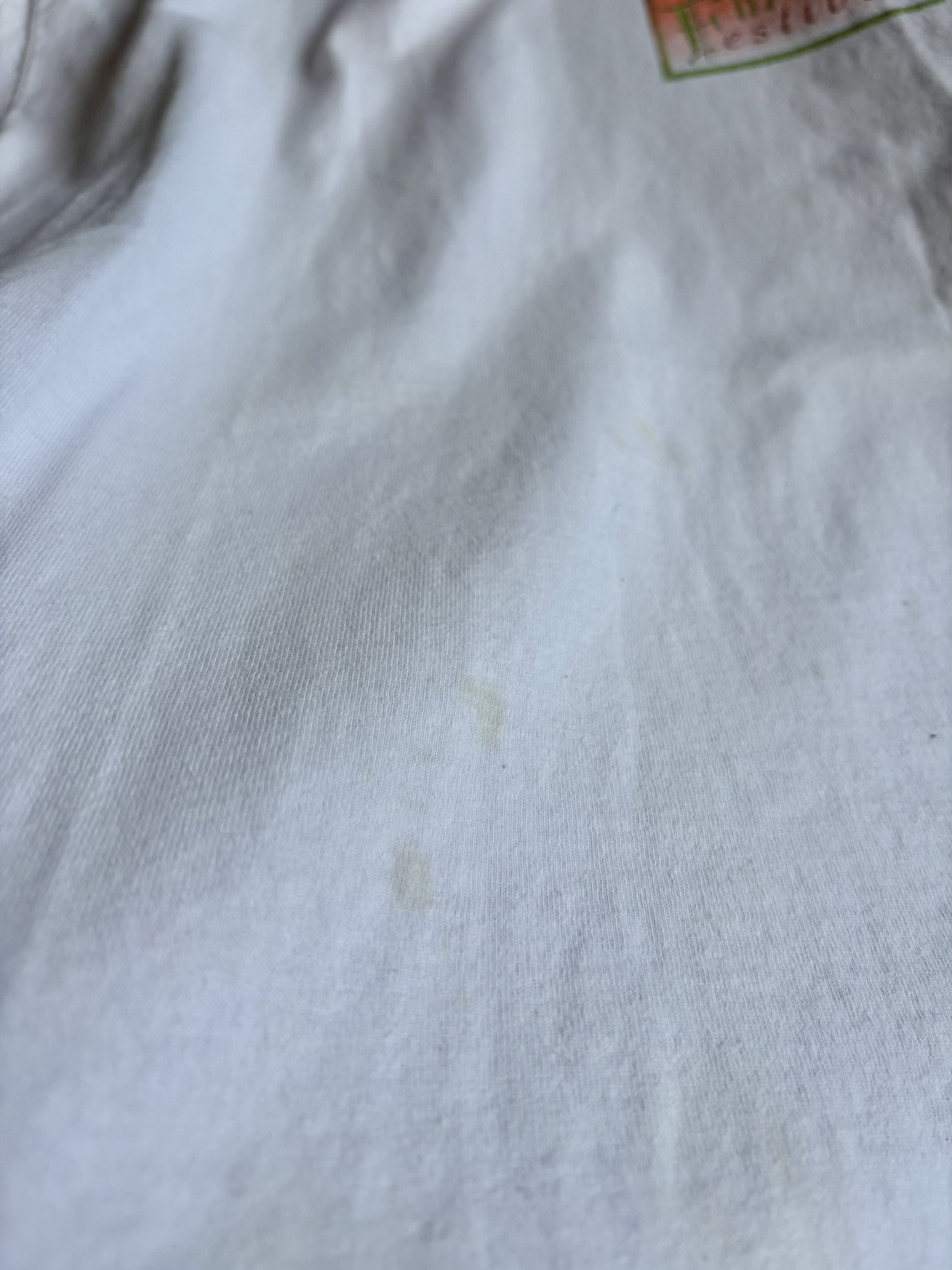 white cotton t shirt 6